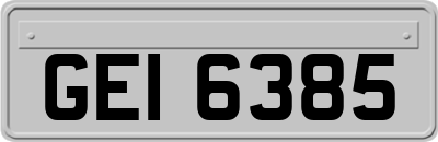 GEI6385