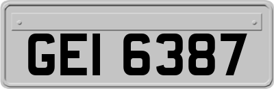 GEI6387