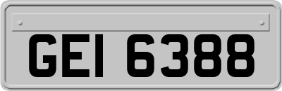 GEI6388