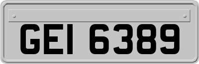 GEI6389