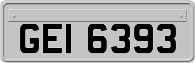 GEI6393