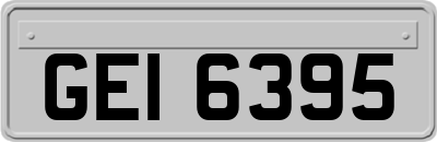 GEI6395