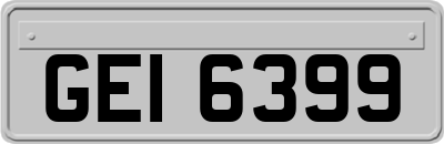 GEI6399