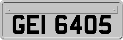 GEI6405
