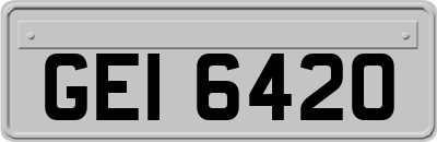 GEI6420