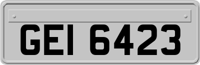 GEI6423