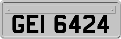 GEI6424