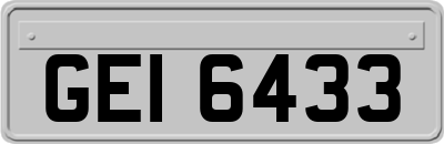 GEI6433