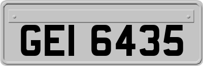 GEI6435