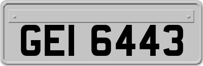 GEI6443