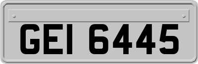GEI6445