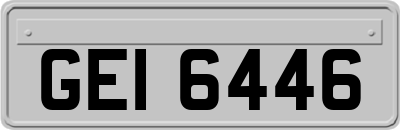 GEI6446