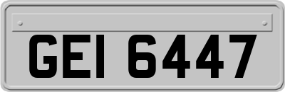 GEI6447
