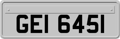 GEI6451