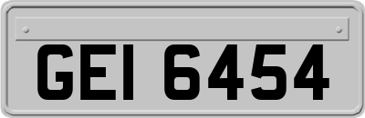 GEI6454