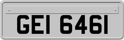 GEI6461