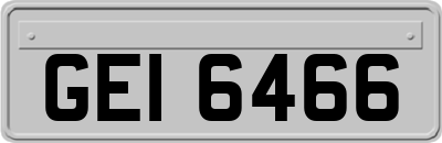 GEI6466