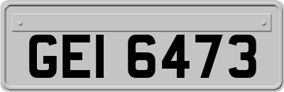 GEI6473