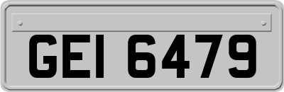 GEI6479
