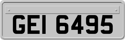 GEI6495