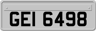 GEI6498