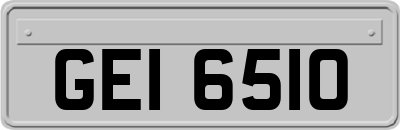 GEI6510