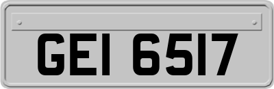 GEI6517