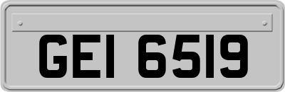 GEI6519