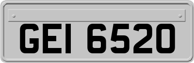 GEI6520