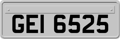 GEI6525