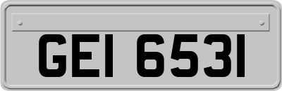 GEI6531