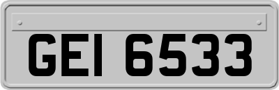 GEI6533