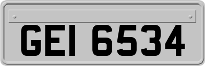 GEI6534