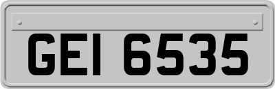 GEI6535