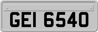 GEI6540