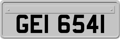GEI6541