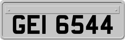 GEI6544