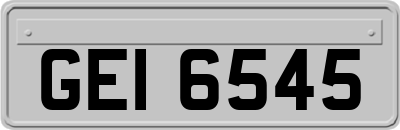 GEI6545