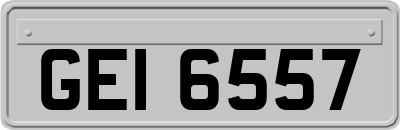 GEI6557