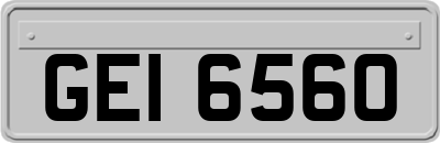 GEI6560