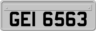 GEI6563