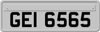 GEI6565