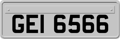 GEI6566
