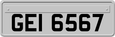 GEI6567