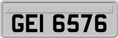 GEI6576