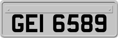 GEI6589
