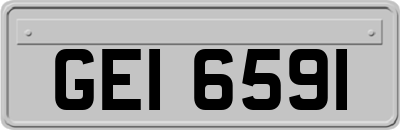 GEI6591