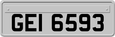 GEI6593