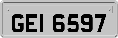 GEI6597