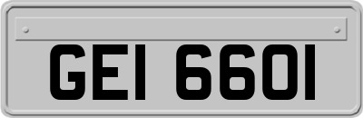 GEI6601